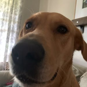 Meet your Posher, Cameron